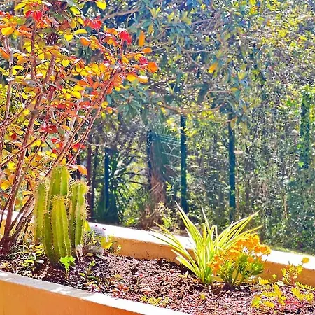 Le Jardin Bleu - Cosy&confort Appartamento Nizza