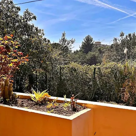 Le Jardin Bleu - Cosy&confort *